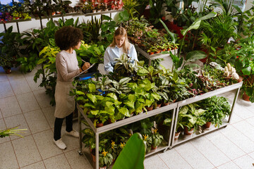 Multinational florist girls working with potted plants in flower shop