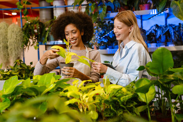 Multinational florist girls working with potted plants in flower shop