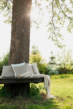 Empty bench with pillow and blanket around tree trunk on sunny day