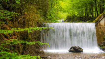 Long exposure of forest waterfall
