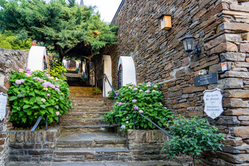 Alken Burg Thurant Deutschland Traktor Mosel Weinhänge Burg Eltz Moselkern Klotten Ernst Bullay