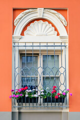 Decorative window in a tenement house in the neoclassical style with blooming multi-colored flowers of geranimus