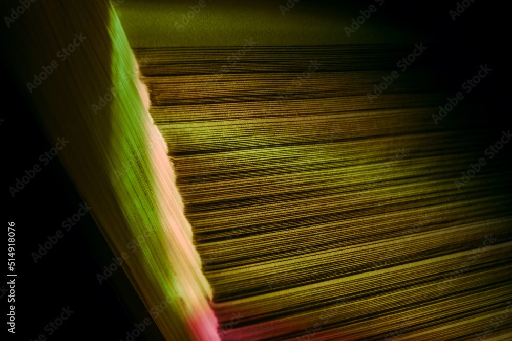 Leinwandbilder close up beautiful book pages in the multi color light on a night. background pattern for design. ma
