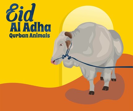 Eid al-Adha Sacrificial Animals. Greeting card with side view of fat cow and rope on orange background. pilgrimage season. Vector illustration.