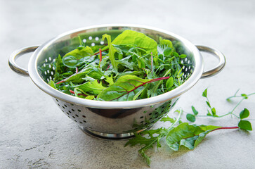 Mix of fresh green salad leaves with arugula and beets