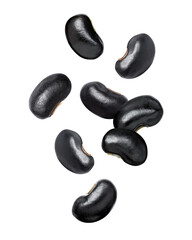 Black beans (Urad dal, black gram, vigna mungo) flying in the air isolated on white background. 