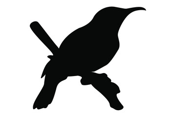 perching bird silhouette vector