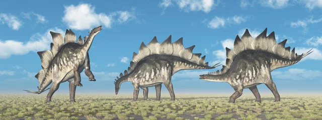 Rucksack Dinosaurier Stegosaurus in einer Landschaft © Michael Rosskothen