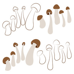 Set of mushrooms vector simple illustration isolated on white background. Brown outline and colored hand drawn sketched version. Vector mycology. Natural healthy fungus, autumn design.