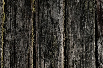 苔むしたウッドデッキ