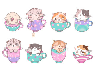 Cute cats in cup. Kitten coffee cups, cartoon isolated kitty in tea mug. Kawaii adorable animals, baby sweet stickers and prints. Funny nowaday vector elements