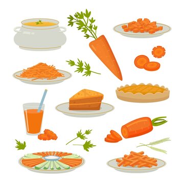 carrot products. sliced natural healthy orange color vegetables with carotene. Vector pictures of carrot juice and baking pie