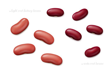 Several light red kidney and seda (Central American) beans isolated on white background. Top view. Realistic vector illustration.