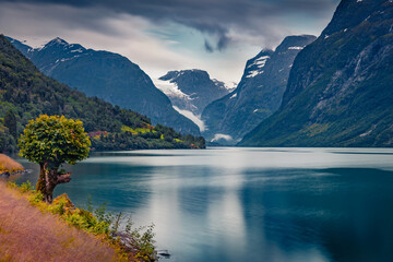 Fototapeta na wymiar Gloomy summer view of Lovatnet lake, municipality of Stryn, Sogn og Fjordane county, Norway, Europe. Calm morning scene in Norway. Beauty of nature concept background.