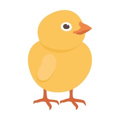 Hatching bird process. Baby chicken birth from egg. Flat vector illustration can be used for farming, poultry, Easter