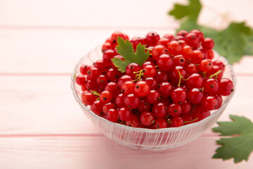 Bowl with ripe red currant on pink background.