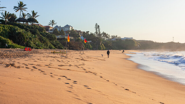Beach Ocean People Walking Dogs