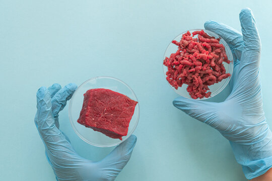 Lab grown meat concept - meat in petri dish