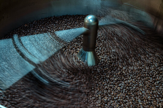 The process of roasting a batch of high quality single origin coffee beans in a large industrial roaster,the toasted beans are in the cooling cycle.