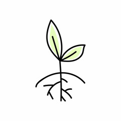 plant with root