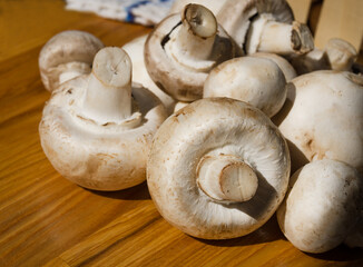 Fresh champignon mushrooms close-up full frame.