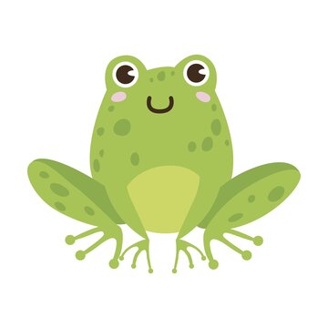 Frog cartoon character vector illustration. Drawings of green toads jumping, sitting in pond with lotus, catching dragonflies isolated on white