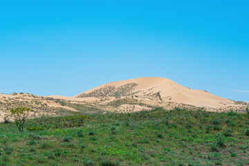 semi-arid landscape in the vicinity of the Sarykum sand dune