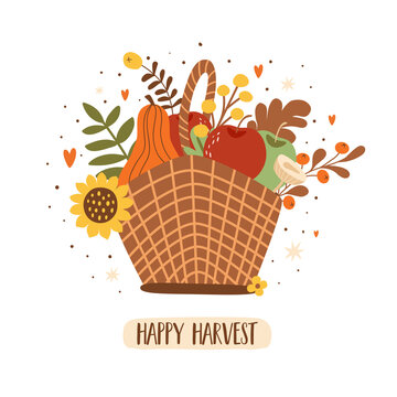 Harvest basket with apples, pumpkin mushroom sunflower autumn leaves. Fall harvest basket isolated on white vector illustration. Cartoon harvest festival, hand drawn harvest vegetables graphic design.