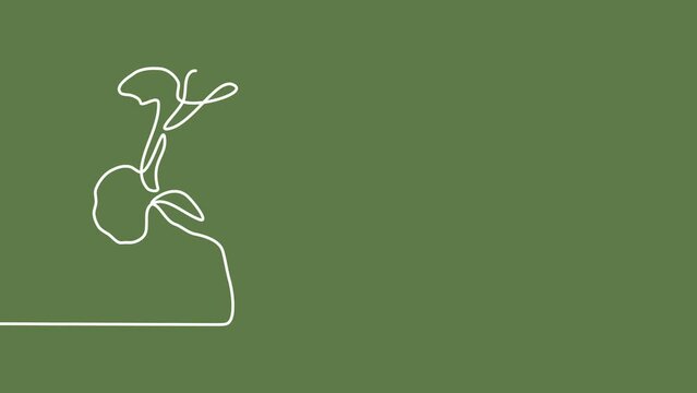 Flower silhouette. Continuous one line drawing Beautyful Tulips flowers on green background. Self drawing animation. Hand drawn flowering plant. Simple design, art. Growth concept. 4K.