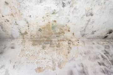 Crédence de cuisine en verre imprimé Vieux mur texturé sale Fungal mold on an interior wall