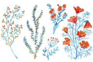 watercolor wildflowers. A set of hand-painted blue-orange botanical blooming flowers on a white background.