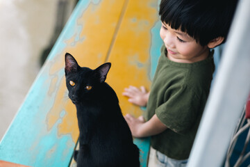 Happy moment of little child with cat. Kid and animal.