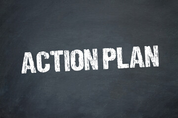 Action Plan