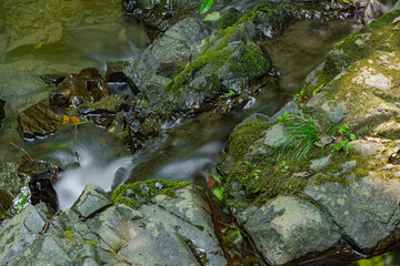 弘法の滝の下流の流れ