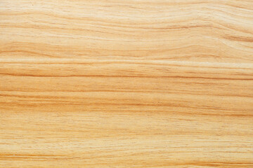 Wood texture for background. Copy space MDF particle booard.