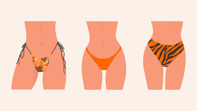 Set of female models in bikinis, in their underwear. Female thighs. Female silhouettes in panties or swimwear.