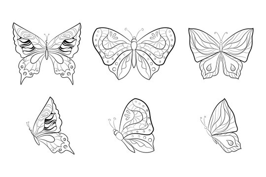 Collection of elegant exotic butterflies isolated on white background. Set of tropical flying insects. Flat vector illustration.