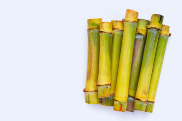 Sugar cane on blue background.