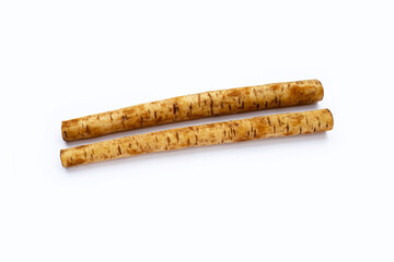 Burdock Root (Gobo) on white background.