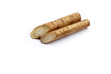 Burdock Root (Gobo) on white background.