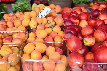 Fresh nectarines and apricot for sale at fruit market, close up. Boxes full of nectarines and apricots with prices in shop.  