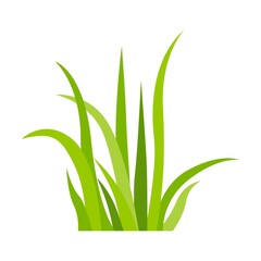 Green grass icon. Leaf borders, nature background vector illustration. Green land for template design
