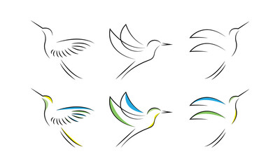 Line art flying hummingbird vector. Minimalism style vector illustration.	