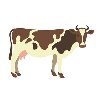 Domestic cow. Milk factory with automatic machines. Milk production stages set. Truck, grazing cows, milking machines, dairy products shop. For dairy
