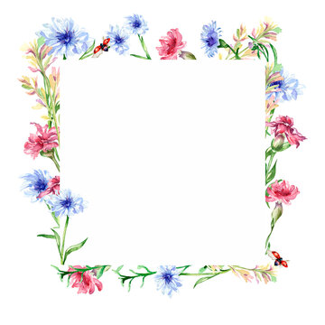 Frame with meadow colorful flowers watercolor illustration isolated.