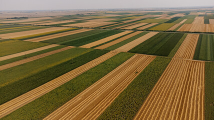 Beautiful aerial view of the fields. The landscape of fields with crops