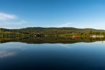 Morning atmosphere at lake Schluchsee in the Black Forest, trees reflect in the calm water of the...