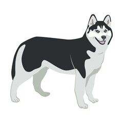 Dog flat icon. Happy pet vector illustration. Corgi, Basenji, Dachshund, malamute, Samoyed. Mammals and animals concept