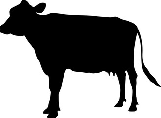 Silhouette of a cow