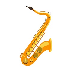 Fototapeta na wymiar Musical saxophone instrument. Accordion, saxophone, violin, digital piano, speaker. Can be used for music band, concert, ethnic festival